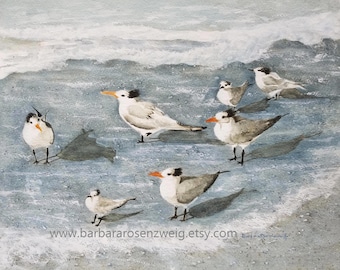 Royal Tern Watercolor Painting, Royal Tern Sea Bird Print, Anna Maria Island, Coastal Wall Art, Beach Decor, Canvas Print, Beach Wall Art