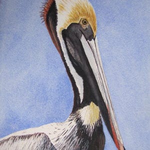 Pelican Watercolor Painting, Coastal Bird Wall Art, Nautical Beach House Decor, Ocean Wildlife Print, Gift for Seaside or Nature Lovers