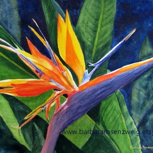 Bird of Paradise Watercolor Painting, Tropical Flower Wall Art Print image 1