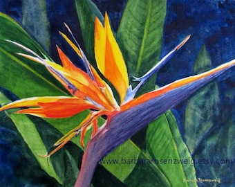 Bird of Paradise Watercolor Painting, Tropical Flower Wall Art Print