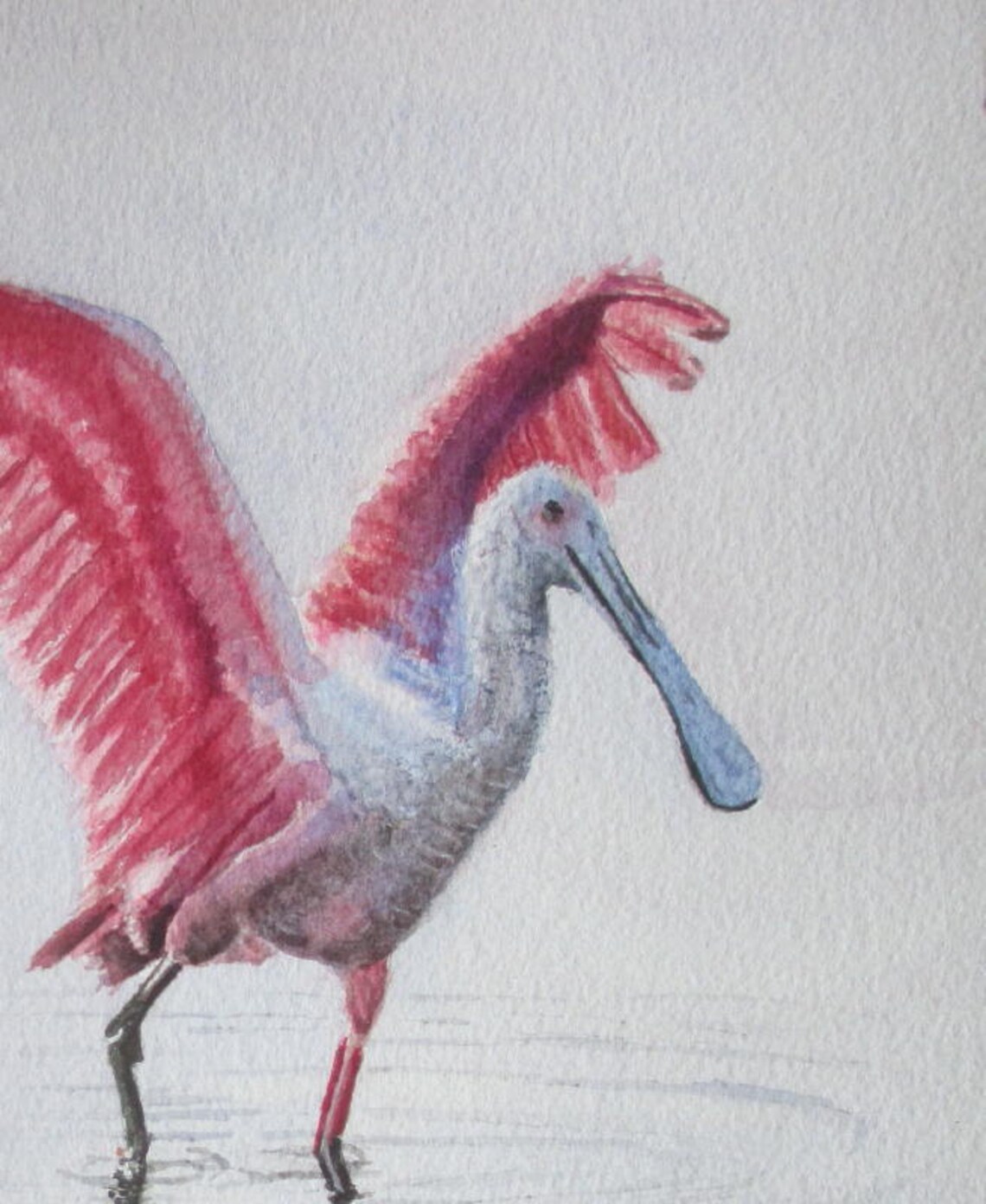 Roseate Spoonbill Bird Watercolor Painting Coastal Decor - Etsy