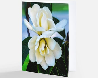 White Magnolia Note card Set, Blank