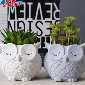 May include: Two owl-shaped planters, one white and one gray, each holding greenery. The white planter has a textured surface, while the gray one has a smooth finish. The planters have closed-eye designs and are filled with green plants.