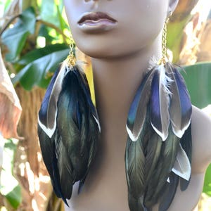 Mallard Duck Feather Earrings, Real Feather Earrings, Long Black Feather Earrings, Iridescent Feather Earrings, Blue and Black Feathers image 8