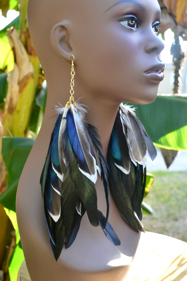 Mallard Duck Feather Earrings, Real Feather Earrings, Long Black Feather Earrings, Iridescent Feather Earrings, Blue and Black Feathers image 2