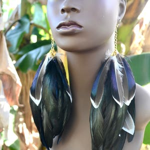 Mallard Duck Feather Earrings, Real Feather Earrings, Long Black Feather Earrings, Iridescent Feather Earrings, Blue and Black Feathers image 9