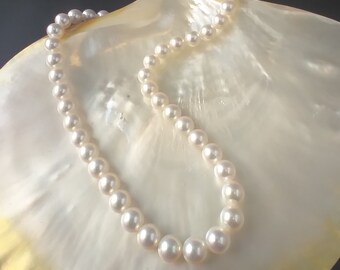 Akoya Japanese white pearl strand 7.5-8mm AA+ high lustre