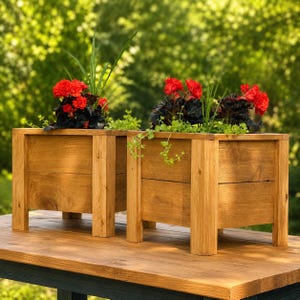 May include: Two rectangular wooden planters with a natural brown finish, each featuring four sturdy corner legs. The planters are filled with vibrant red flowers, dark green foliage, and bright green trailing vines, creating a lush display.