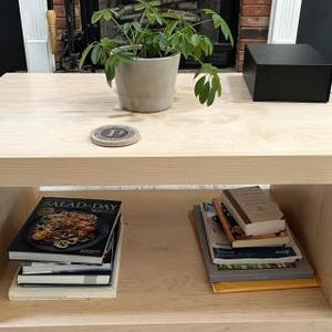 Puede incluir: Una mesa de centro de madera clara con tablero cuadrado y estante inferior abierto. El tablero sostiene una planta verde en maceta, un posavasos circular con la letra P y una caja negra. El estante inferior contiene pilas de libros y revistas.