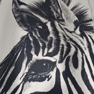 Pode incluir: Close-up a preto e branco da face de uma zebra. A imagem destaca o olho, a orelha e o padrão de listras distinto do animal. O olho da zebra está em foco nítido, com a pelagem e as listras circundantes criando um contraste marcante.