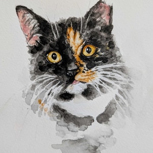 May include: Watercolor painting of a cat's face. The cat has black, orange, and white fur with yellow eyes. The painting is done in a loose, expressive style, with visible brushstrokes and watercolor washes.