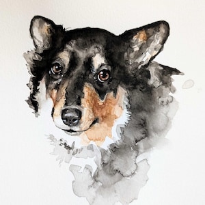 May include: Watercolor painting of a dog's head. The dog has black, brown, and tan fur with brown eyes and a black nose. The painting has a soft, artistic style with watercolor washes of gray and black.