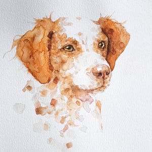May include: Watercolor painting of a dog's head, featuring a white and brown coat. The dog has brown eyes and a pink nose. The artwork is created with loose brushstrokes, giving it a soft, artistic feel. The background is plain white.