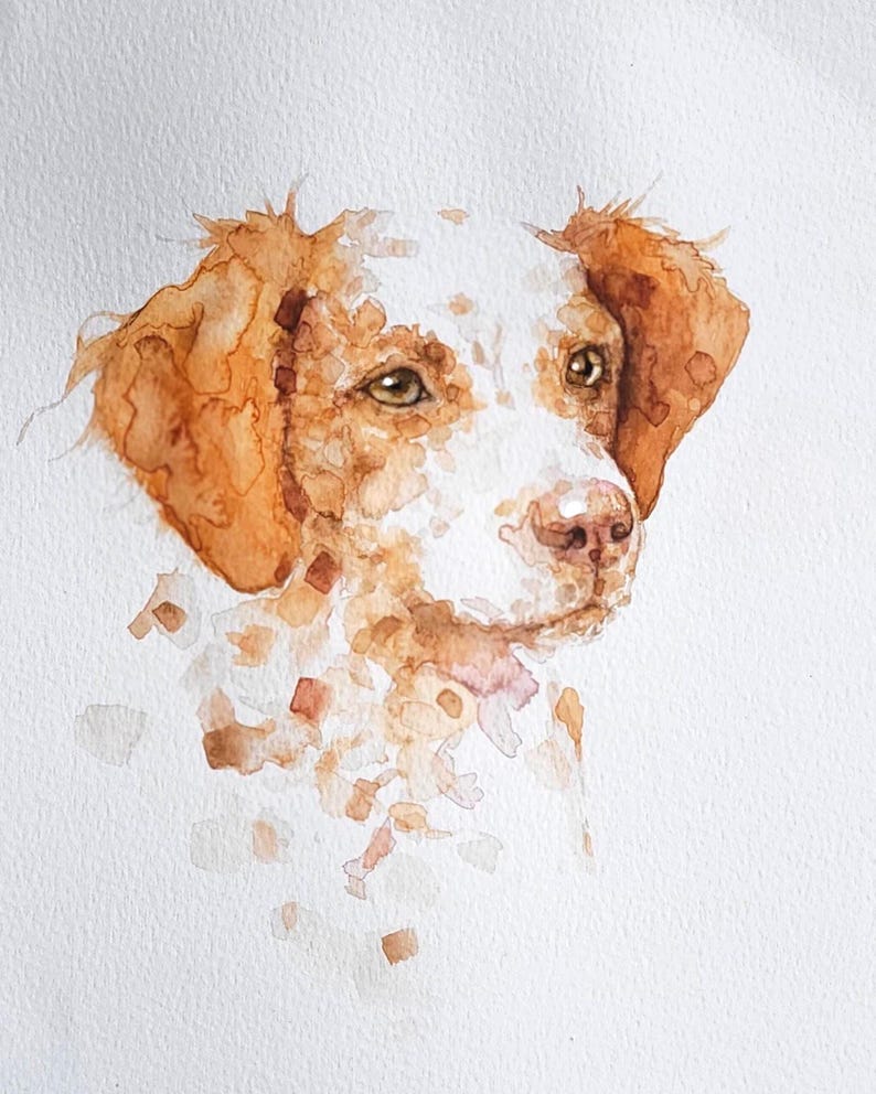 May include: Watercolor painting of a dog's head, featuring a white and brown coat. The dog has brown eyes and a pink nose. The artwork is created with loose brushstrokes, giving it a soft, artistic feel. The background is plain white.