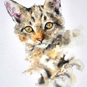 May include: Watercolor painting of a cat's face. The cat has yellow eyes, a pink nose, and a coat of brown, gray, and tan colors. The artwork is on a white background, with the cat's form rendered in loose, expressive brushstrokes.