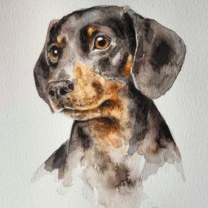 May include: Watercolor painting of a Dachshund dog. The dog has a black and brown coat with a light brown muzzle and large, expressive brown eyes. The artwork is on a white background, with soft watercolor textures.