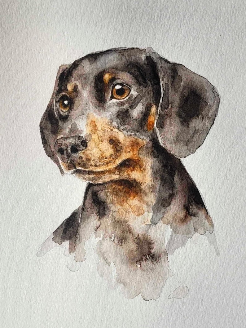 May include: Watercolor painting of a Dachshund dog. The dog has a black and brown coat with a light brown muzzle and large, expressive brown eyes. The artwork is on a white background, with soft watercolor textures.