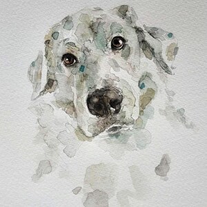 May include: Watercolor painting of a dog's face. The dog has brown eyes, a black nose, and a white and gray coat with blue-green accents. The artwork is on a white background, with soft, blended watercolor techniques.
