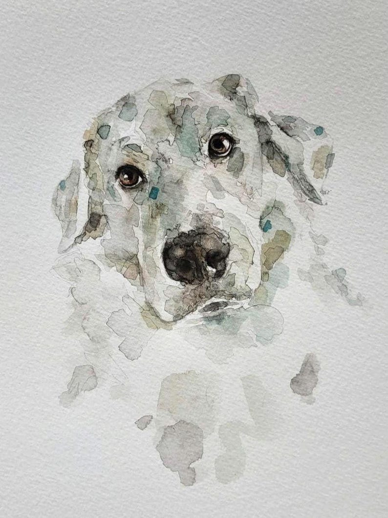 May include: Watercolor painting of a dog's face. The dog has brown eyes, a black nose, and a white and gray coat with blue-green accents. The artwork is on a white background, with soft, blended watercolor techniques.