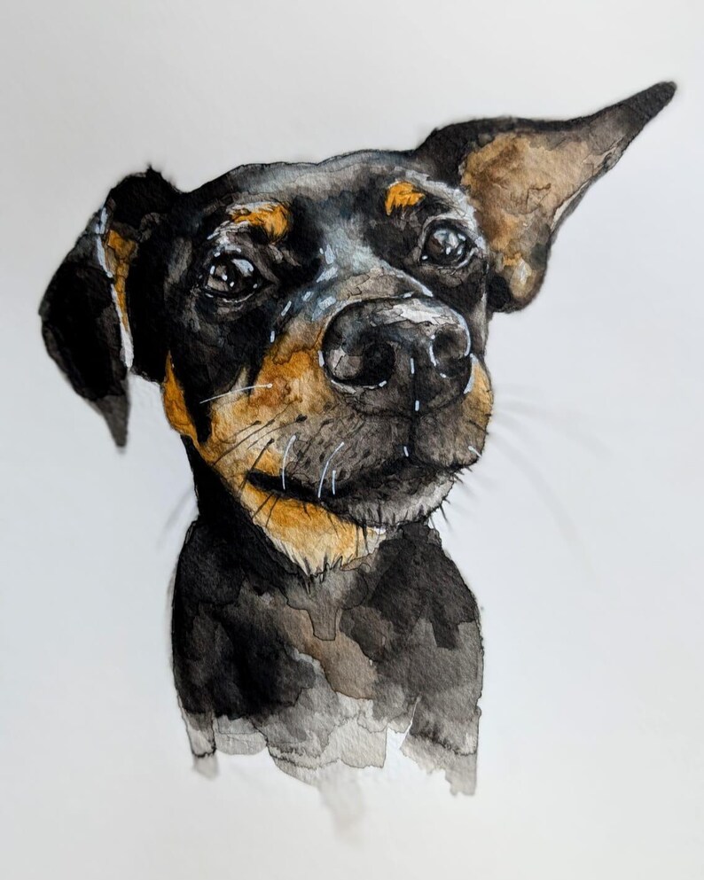 May include: Watercolor painting of a dog's head, featuring a black coat with tan and brown markings. The dog has a focused gaze, with visible whiskers and detailed shading, set against a white background.