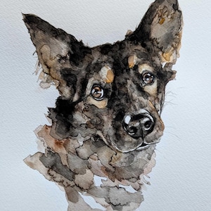 May include: Watercolor painting of a dog's head, featuring a black and brown coat with tan highlights. The dog has attentive brown eyes and a black nose. The artwork is detailed, with visible brushstrokes and a soft, textured appearance.