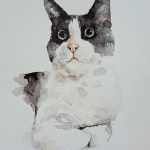 May include: Watercolor painting of a cat with black and white markings. The cat has green eyes and a pink nose. The artwork is a close-up portrait of the cat's face and upper body, with a soft, blurred background.