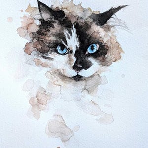 May include: Watercolor painting of a cat's face with striking blue eyes. The cat has a black and white face with brown and tan fur. The artwork has a soft, watercolor style with brown and tan paint splatters around the cat's face.