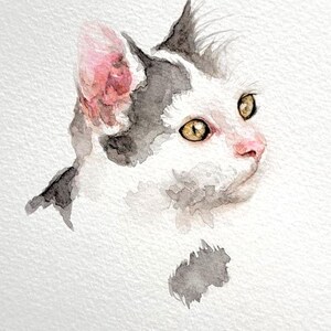May include: Watercolor painting of a cat's head. The cat has white fur with patches of black and gray. The cat's ear is pink, and its eyes are yellow. The cat's nose is pink, and it is looking to the right.