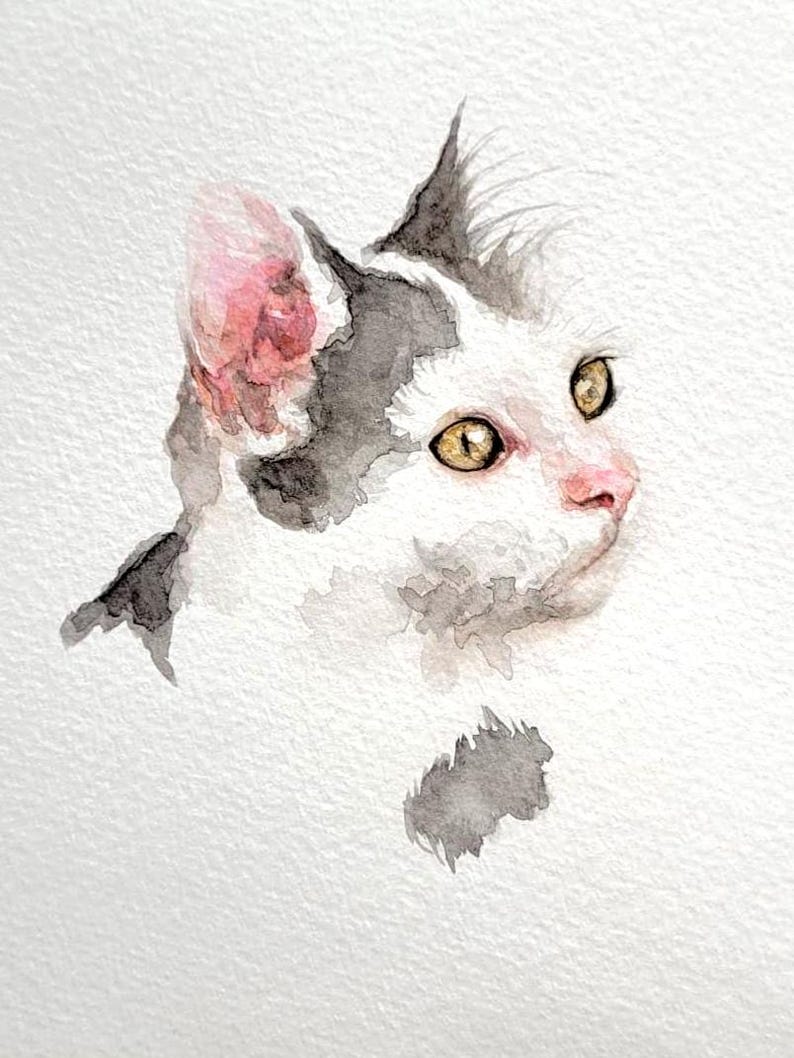 May include: Watercolor painting of a cat's head. The cat has white fur with patches of black and gray. The cat's ear is pink, and its eyes are yellow. The cat's nose is pink, and it is looking to the right.
