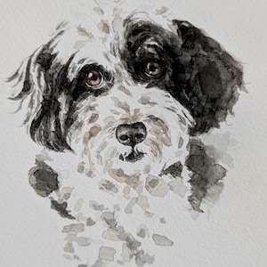 May include: Watercolor portrait of a dog with a black and white coat and brown eyes. The dog's fur is painted with loose brushstrokes, creating a soft and textured appearance. The artwork is on a white background.