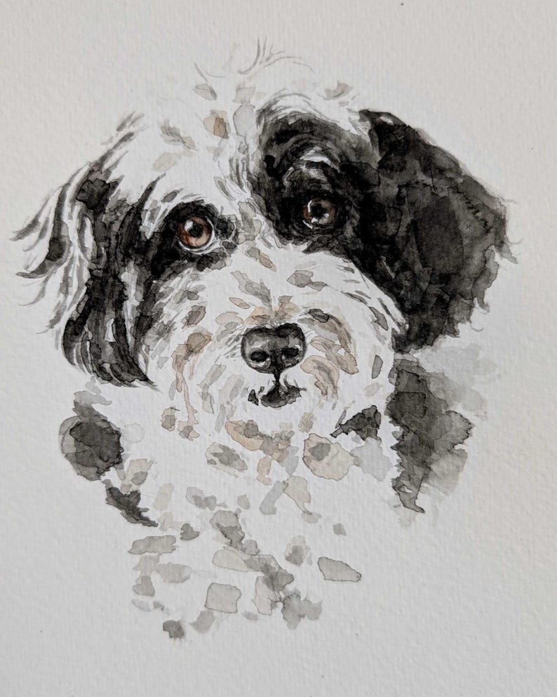 May include: Watercolor portrait of a dog with a black and white coat and brown eyes. The dog's fur is painted with loose brushstrokes, creating a soft and textured appearance. The artwork is on a white background.