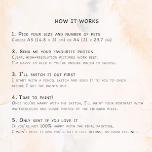 May include: A cream-colored informational graphic with the title "HOW IT WORKS". The text explains the process of commissioning a pet portrait, including size options (A5, 14.8 x 21 cm, or A4, 21 x 29.7 cm), photo submission, sketching, painting, and satisfaction guarantee.