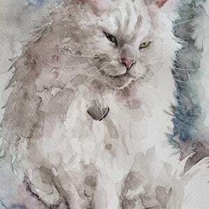 May include: Watercolor painting of a fluffy, long-haired cat with gray and white fur. The cat has a serious expression, with green eyes and a small tag on its collar. The background features soft blue and gray watercolor washes.