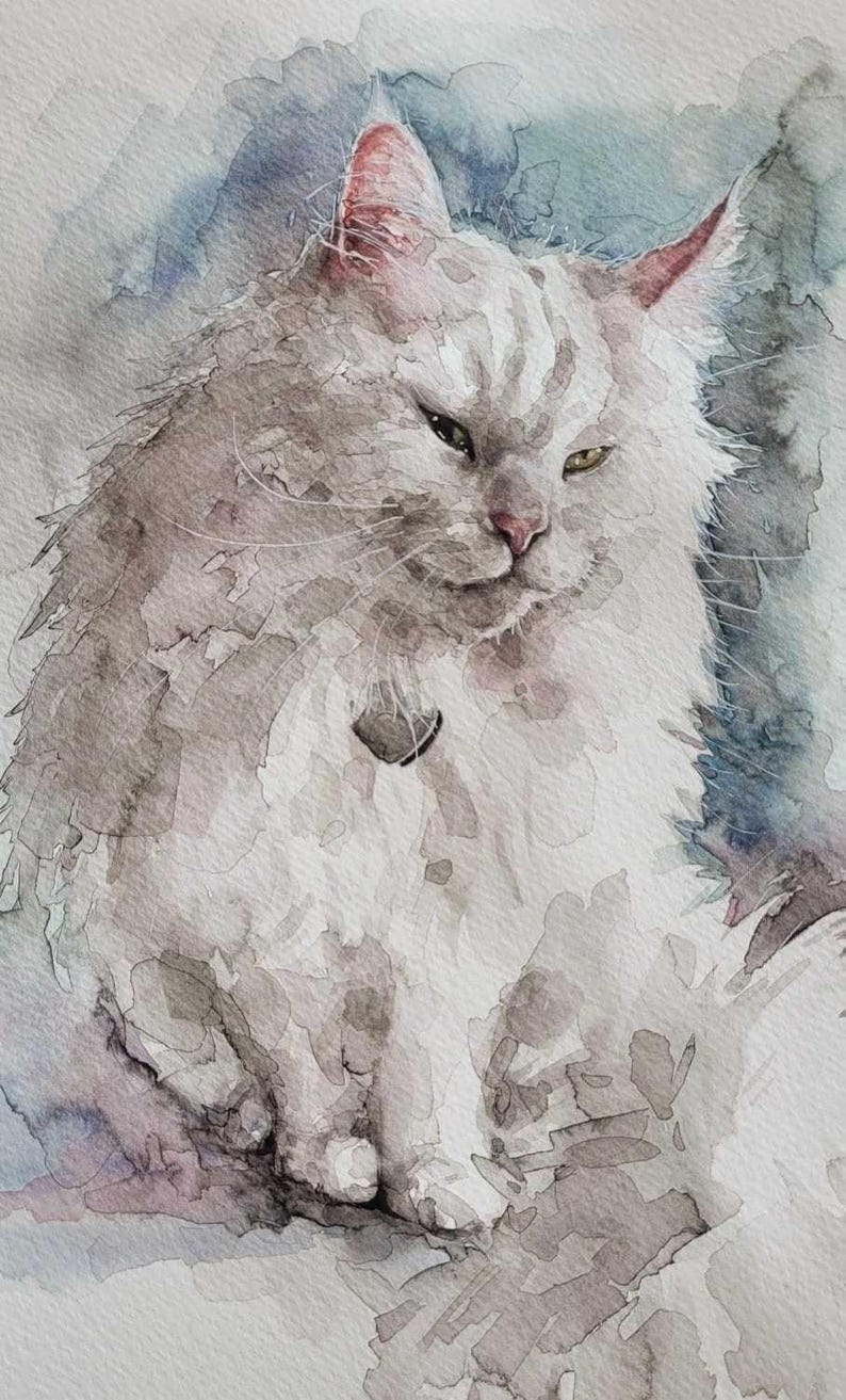 May include: Watercolor painting of a fluffy, long-haired cat with gray and white fur. The cat has a serious expression, with green eyes and a small tag on its collar. The background features soft blue and gray watercolor washes.
