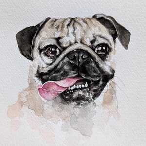 May include: Watercolor painting of a pug dog's face. The dog has a tan and black coat, with a pink tongue sticking out. The dog's eyes are brown, and the background is white.