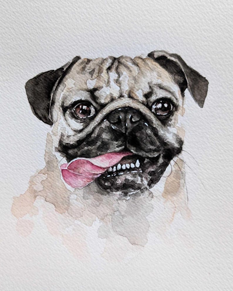 May include: Watercolor painting of a pug dog's face. The dog has a tan and black coat, with a pink tongue sticking out. The dog's eyes are brown, and the background is white.