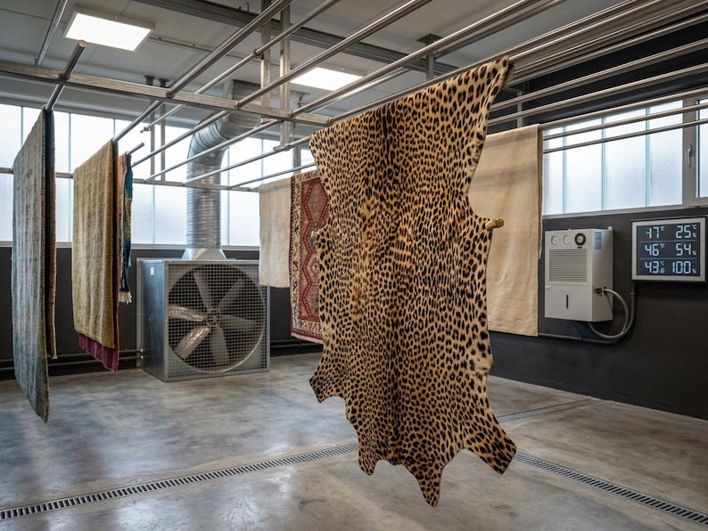 Leopard Print Cowhide Leather, Safari Style Animal Area Rug - Etsy