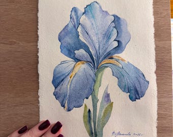 Ilustração botânica nº 2, aquarela, desenho artístico, pintura, esboço