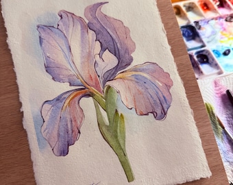 Ilustração botânica nº 3, aquarela, desenho artístico, pintura, esboço