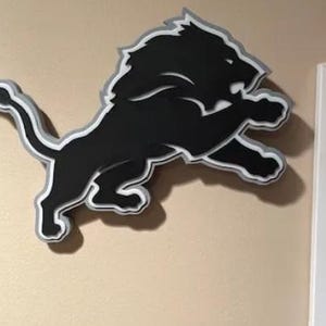 Detroit Lions sign