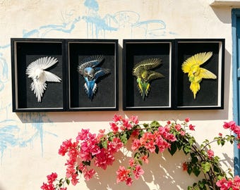 Piel de periquito auténtica enmarcada / Ejemplar de ave ético / Arte de la cultura buitre / Decoración Dark Academia / Gabinete de curiosidades