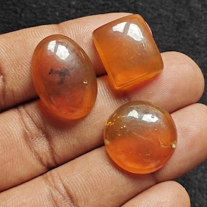 Top-Qualität Naturbernstein Glatte Mix Form Cabochon Verlieren Edelstein Lot AAA Qualität Edelsteine für die Herstellung & Verwendung von Schmuck