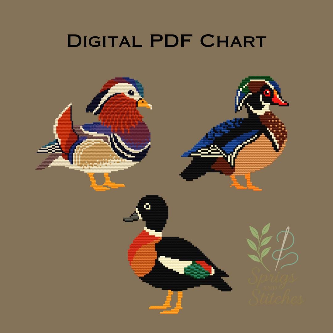 Duck Series: Wood Duck, Mandarin Duck, Australian Shelduck ...