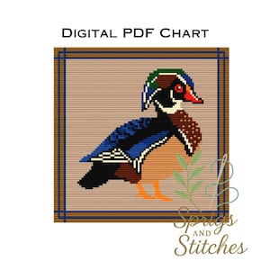 Wood Duck | Needlepoint and Cross Stitch Chart | PDF Digital Download