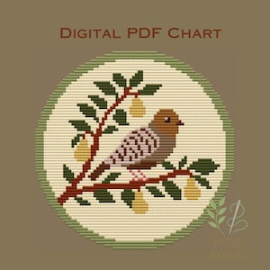 May include: A cross-stitch design featuring a bird perched on a branch with pears. The bird has brown and white patterned feathers. The design is in a circular frame with the text "DIGITAL PDF CHART" at the top.
