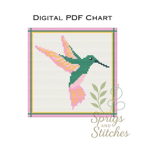 Puede incluir: Gráfico PDF digital con un diseño de punto de cruz de un colibrí. El pájaro es verde con alas y cola rosas y amarillas, sobre un fondo blanco. El diseño está enmarcado con un borde rosa y amarillo. El texto en la parte superior dice "DIGITAL PDF CHART".