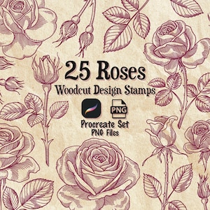 25 Rosen handgezeichnete Stempel für Procreate & PNG - Blumen im Holzschnitt-Stil für Tattoo und Illustration