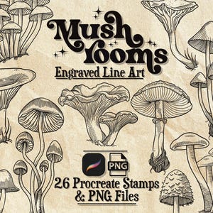 Mushroom Procreate Brushes: 26 Hand-Drawn Tattoo Stamps, PNG Graphics