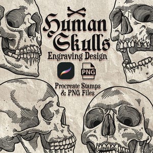 Procreate Skull Stamps – Vintage Engraved Skulls, Tattoo Clipart, Skull Brushes & PNG Set (Digital Download)