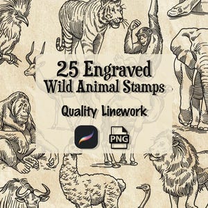 Puede incluir: Ilustración de 25 sellos grabados de animales salvajes con un trabajo de línea de calidad. La imagen incluye un tigre, un elefante, un león y otros animales. El texto dice "25 Engraved Wild Animal Stamps" y "Quality Linework".